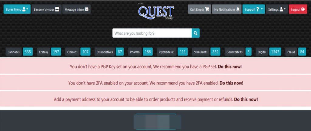 Quest: Dark Web Markets